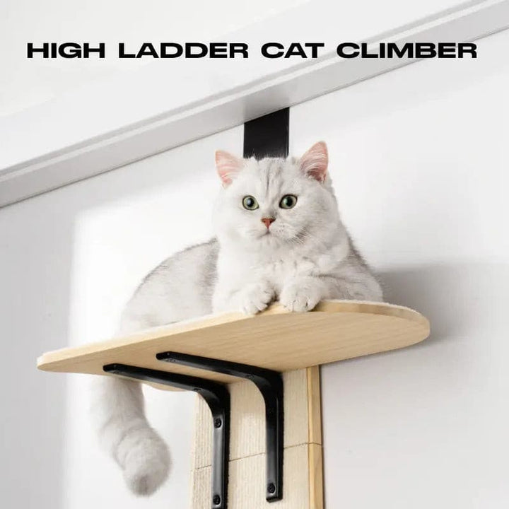 SupermarCat Cat Door Hanging Scracther Climbing Pad MewooFun