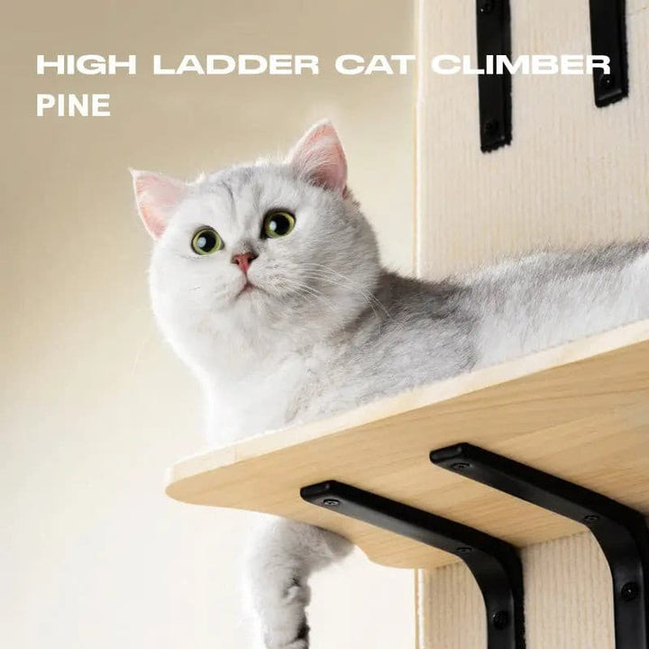 SupermarCat Cat Door Hanging Scracther Climbing Pad MewooFun